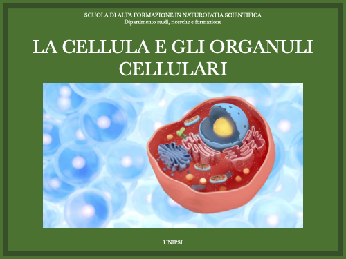 LA CELLULA E GLI ORGANULI CELLULARI
