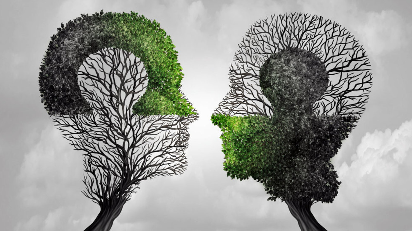 guida alla scelta del corso di naturopatia online